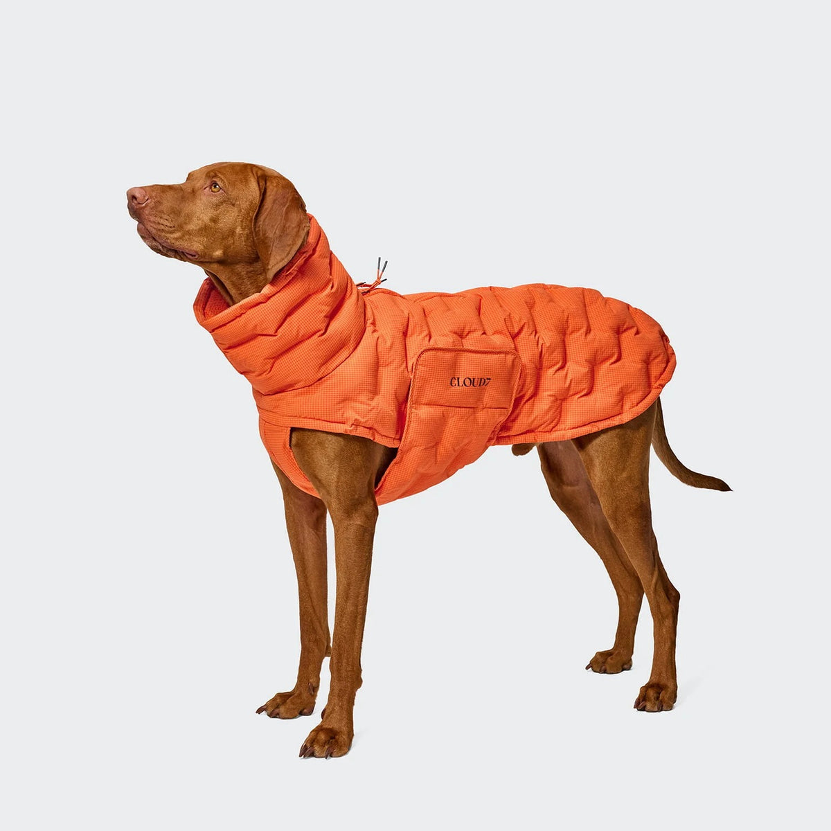 CLOUD7 - Hundemantel Alaska Seersucker Orange