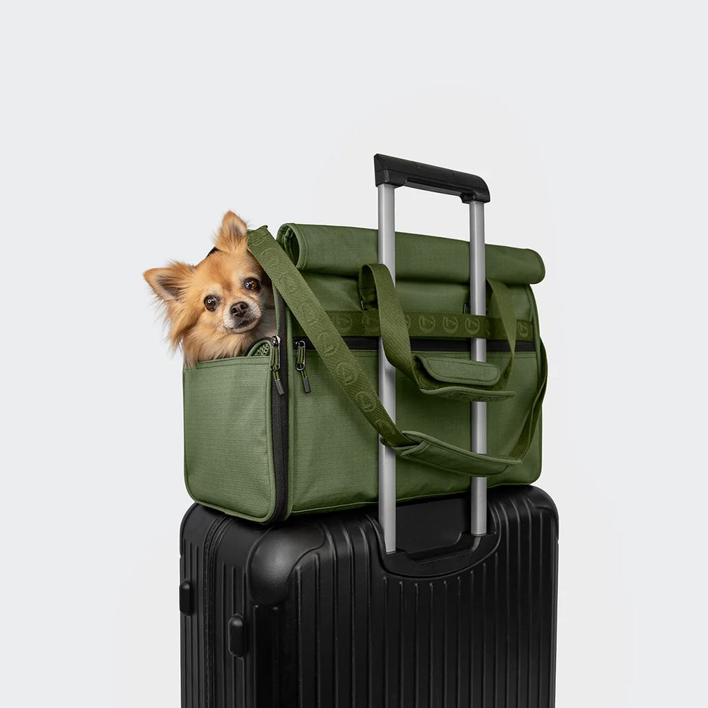 CLOUD7 – Hundeflugtasche AKTIV Olive