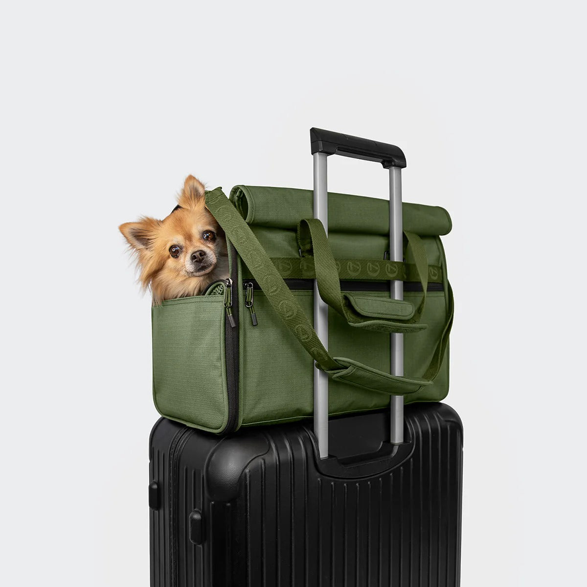 CLOUD7 – Hundeflugtasche AKTIV Olive