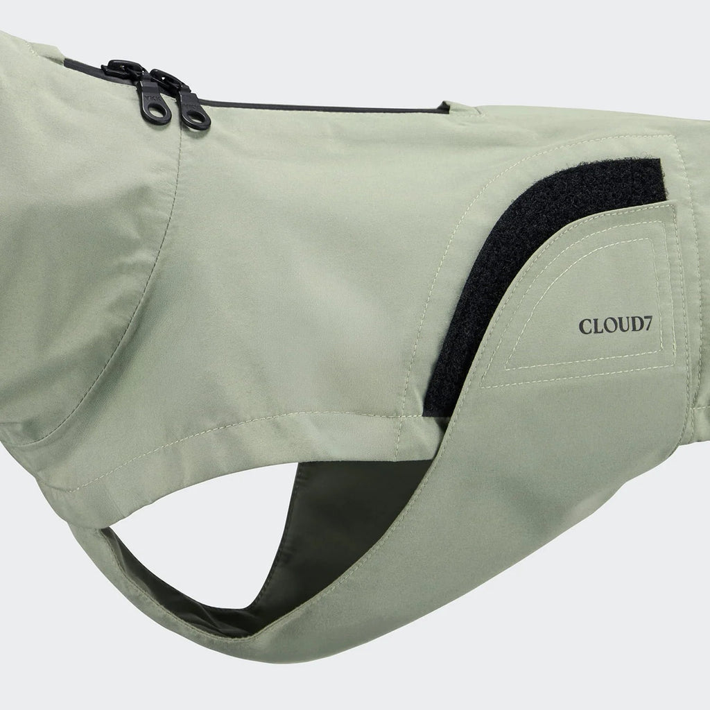 CLOUD7 - Hunderegenmantel Dackel Dublin 2.0 Dusty Mint
