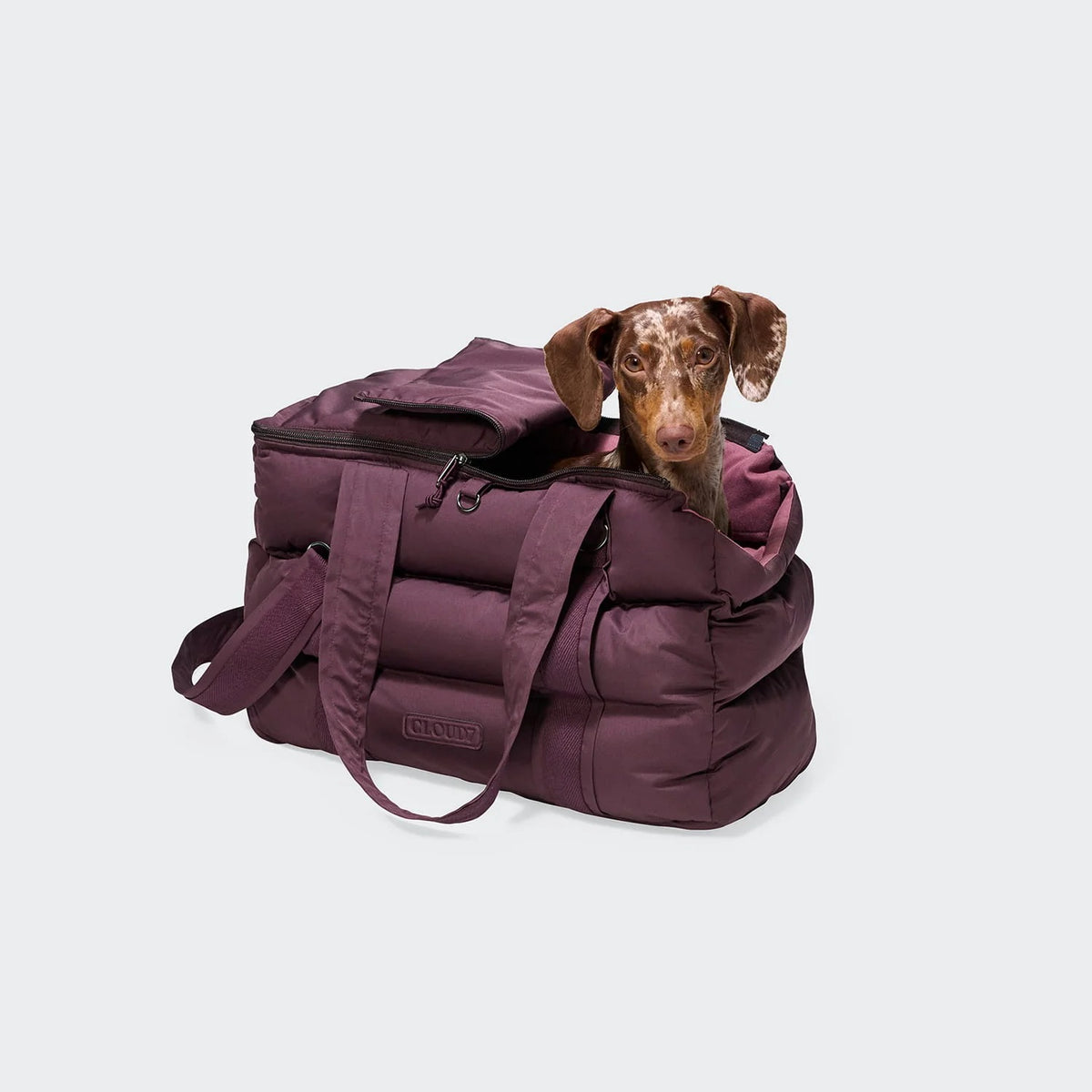 CLOUD7 – Hundetasche Montreal 2.0 Aubergine
