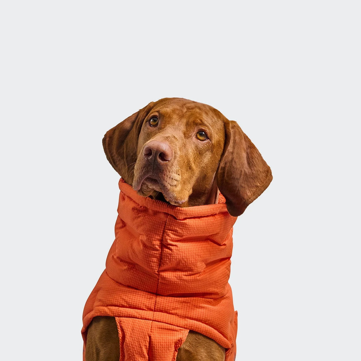 CLOUD7 - Hundemantel Alaska Seersucker Orange