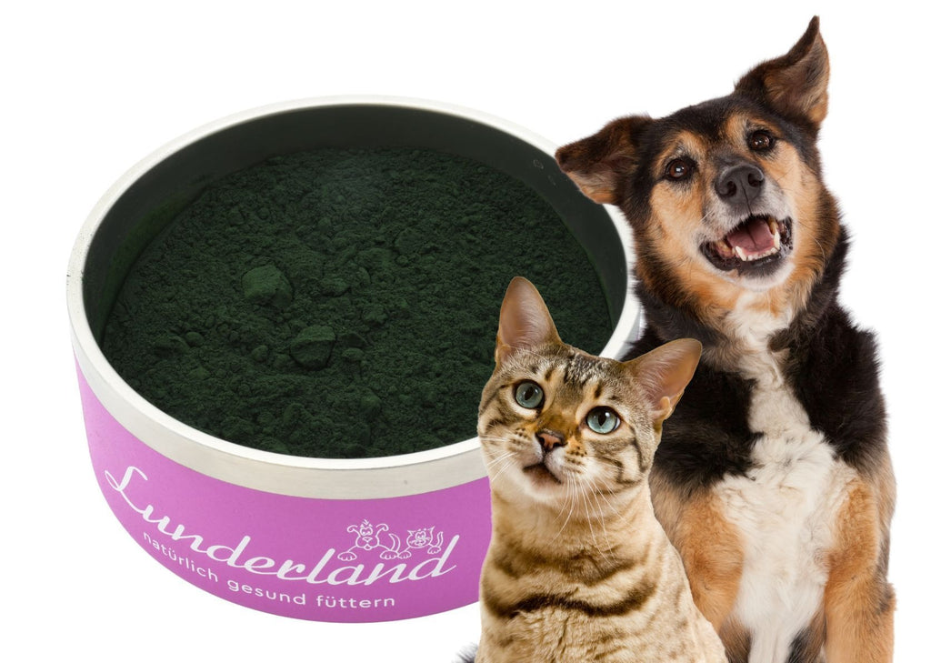 Lunderland – Bio-Spirulina für Hunde & Katzen 250 g