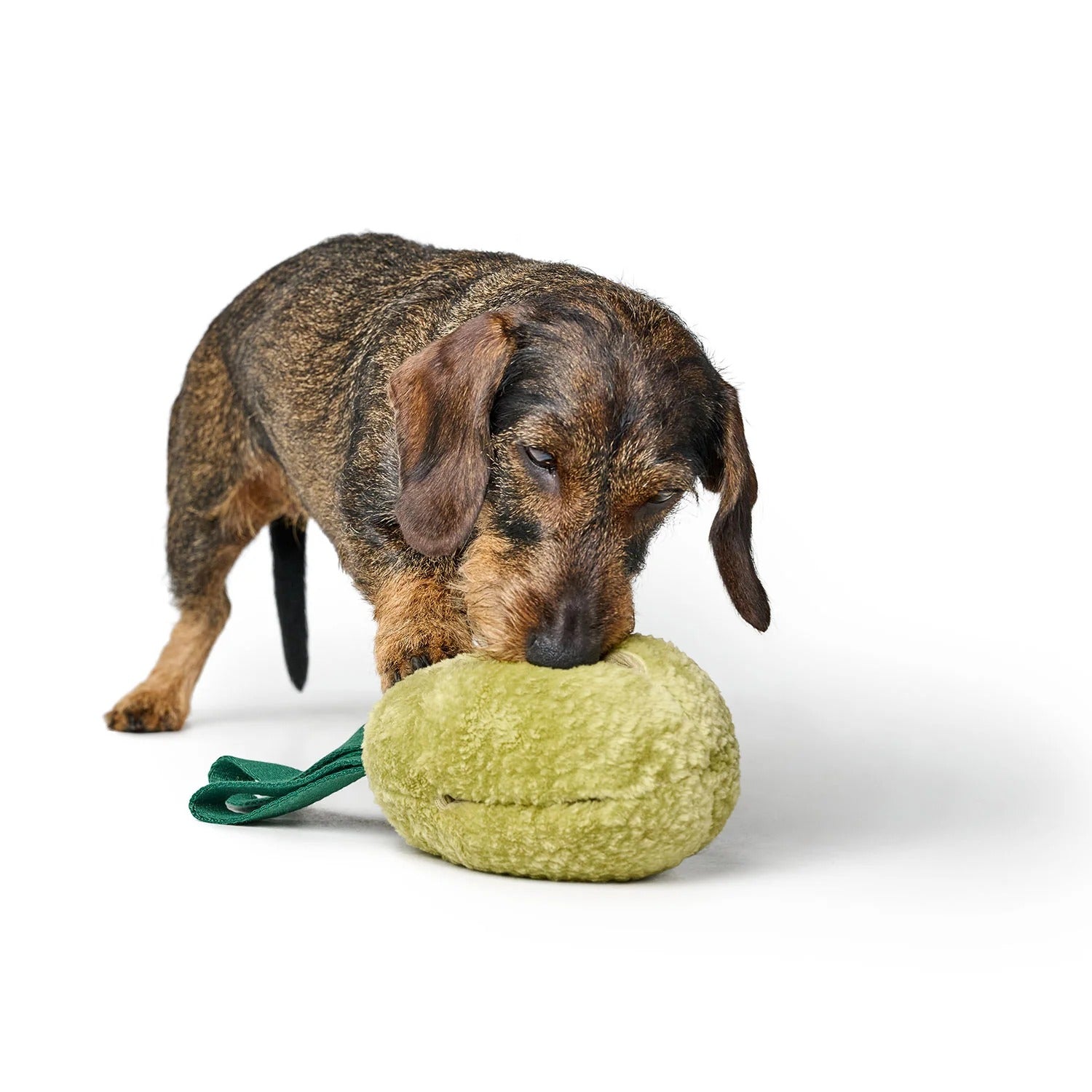 Hunter – Hundespielzeug Venice Birne
