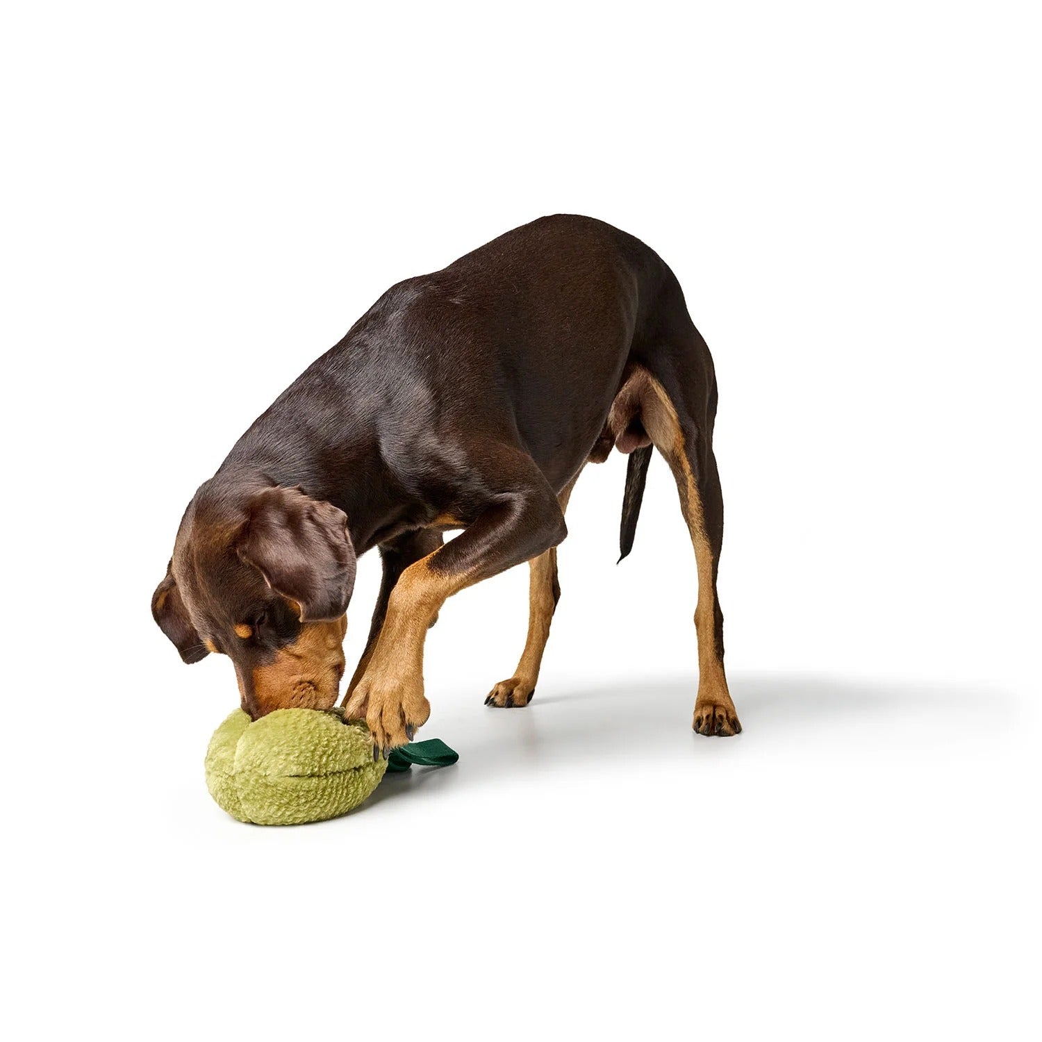 Hunter – Hundespielzeug Venice Birne