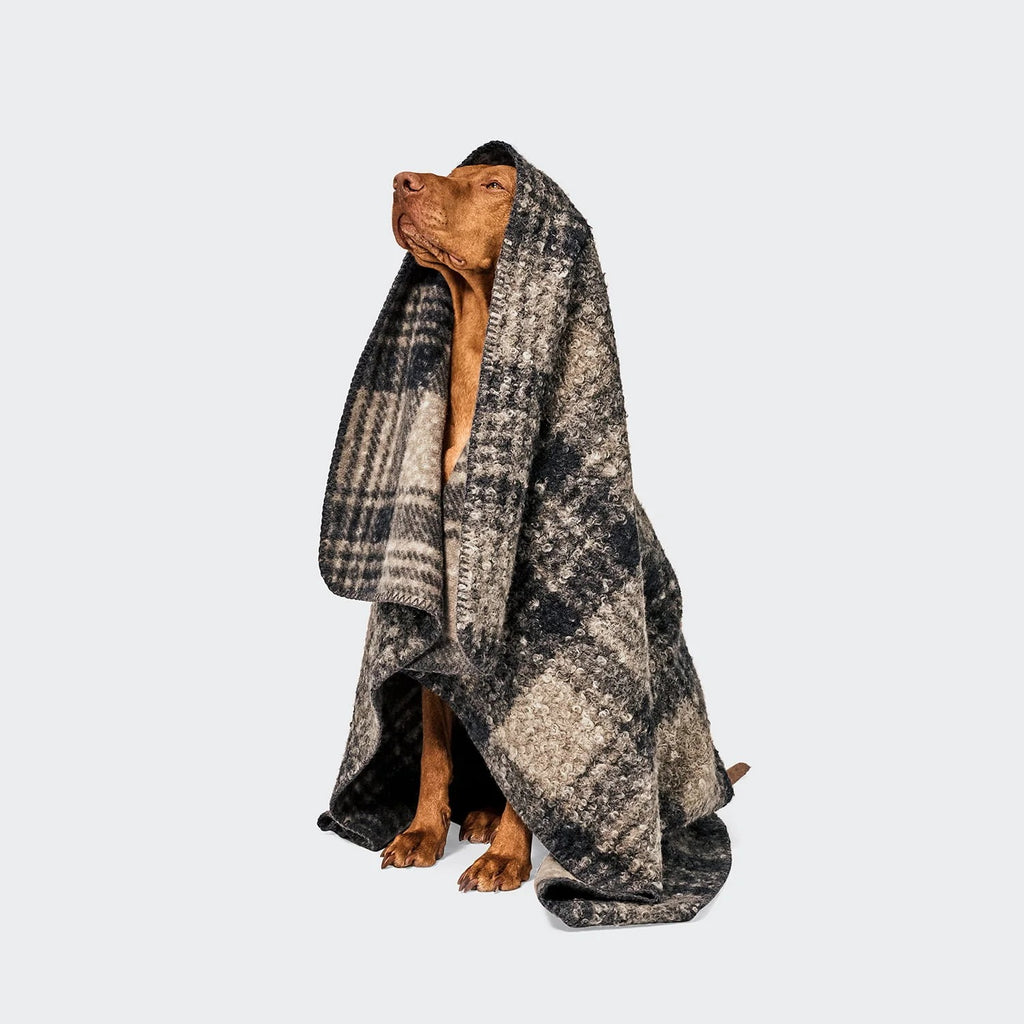 CLOUD7 - Hundedecke Bouclé Tartan