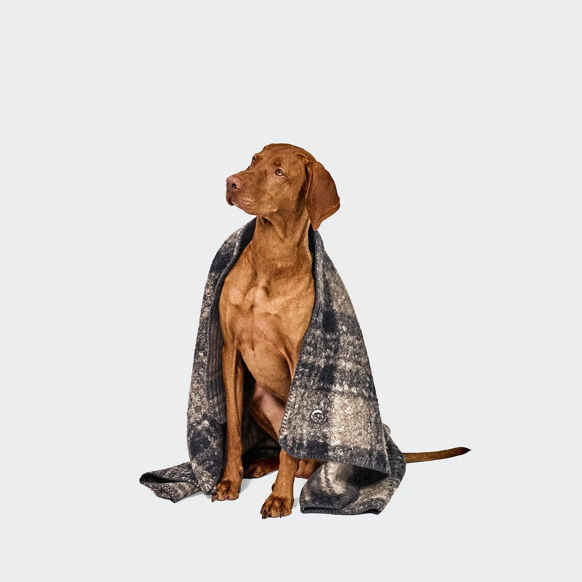 CLOUD7 - Hundedecke Bouclé Tartan