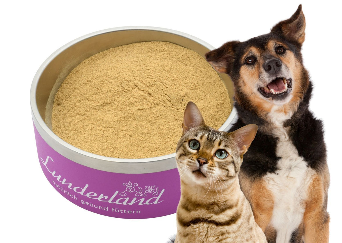 Lunderland – Grünlippmuschelpulver für Hunde und Katzen