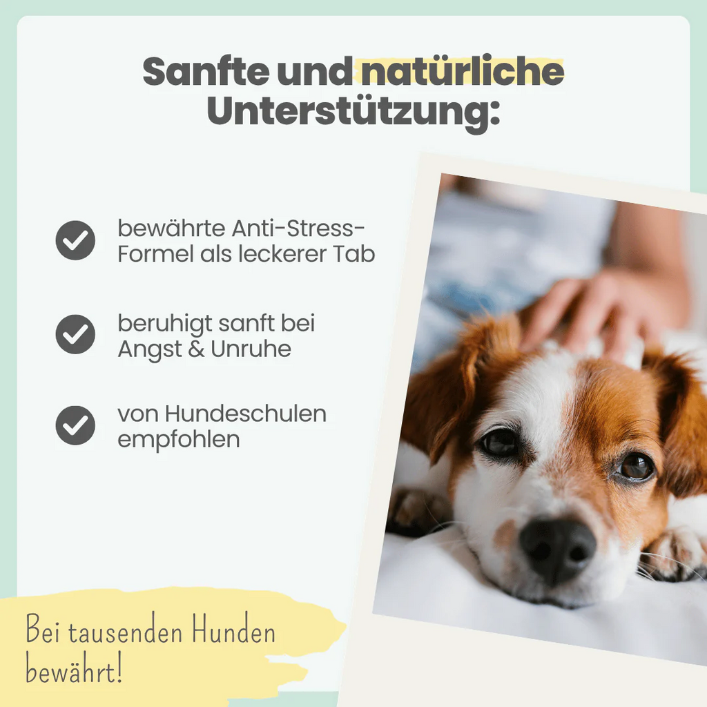 noms+ – Wohlfühltabs für Hunde bei Stress, Angst & Unruhe