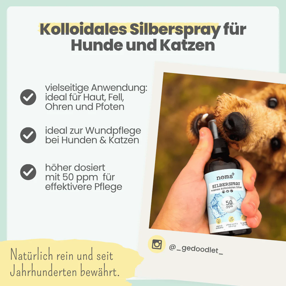 noms+ – Silberspray für Hunde & Katzen