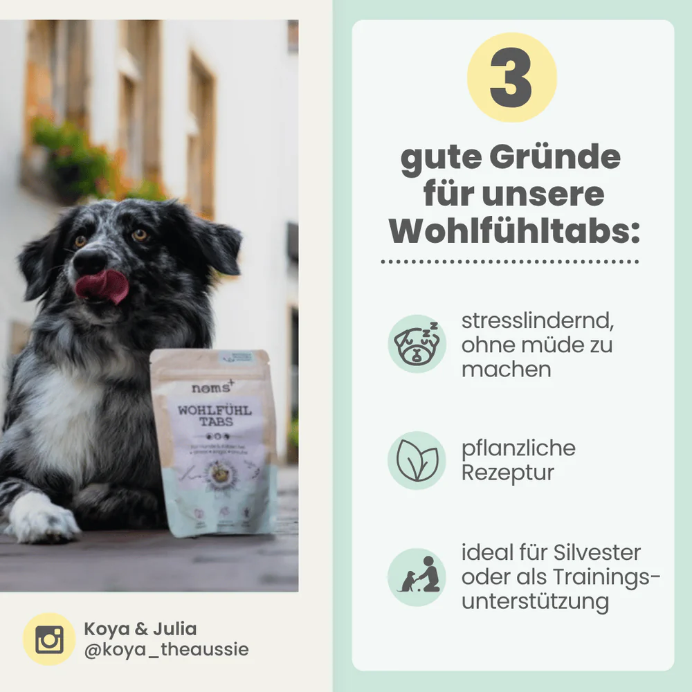noms+ – Wohlfühltabs für Hunde bei Stress, Angst & Unruhe