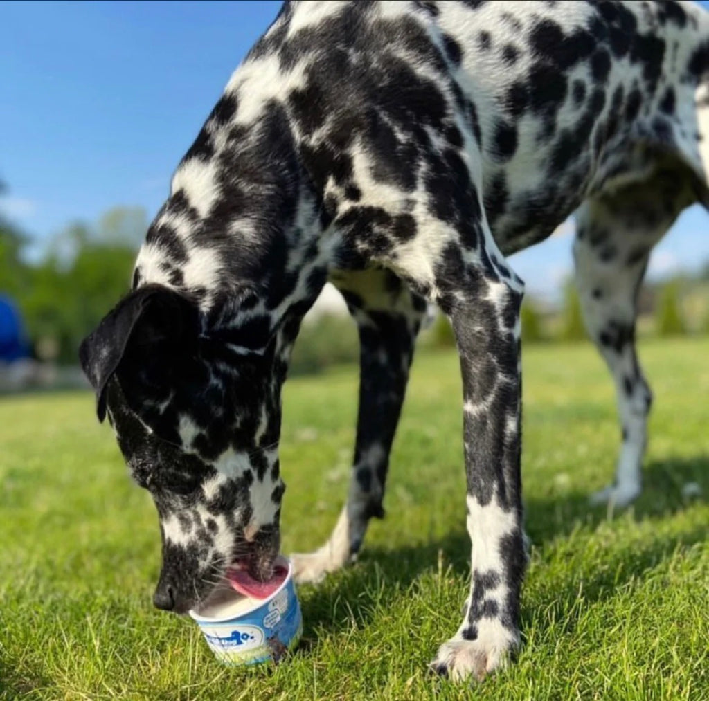 Cold&Dog – Hundeeis Apfel Banane 90ml