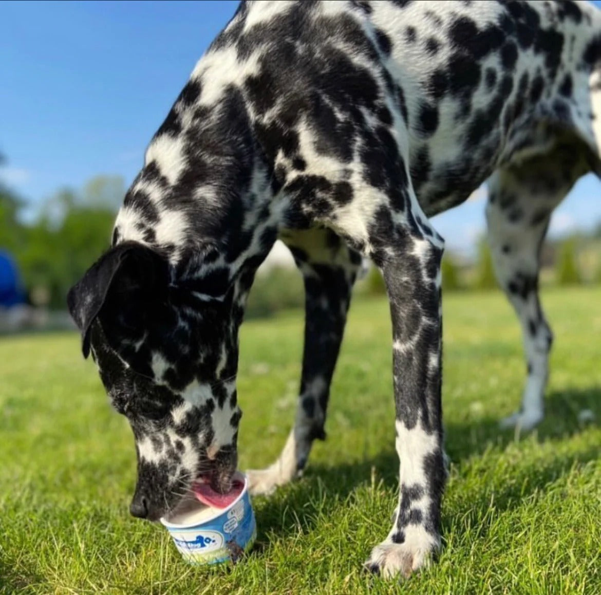 Cold&Dog – Hundeeis Apfel Banane 90ml