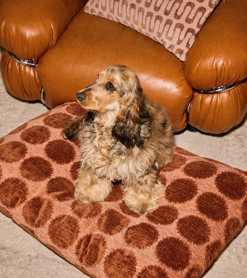 DOGGUO – Hundebett Gepunktet - Mocha/Brown