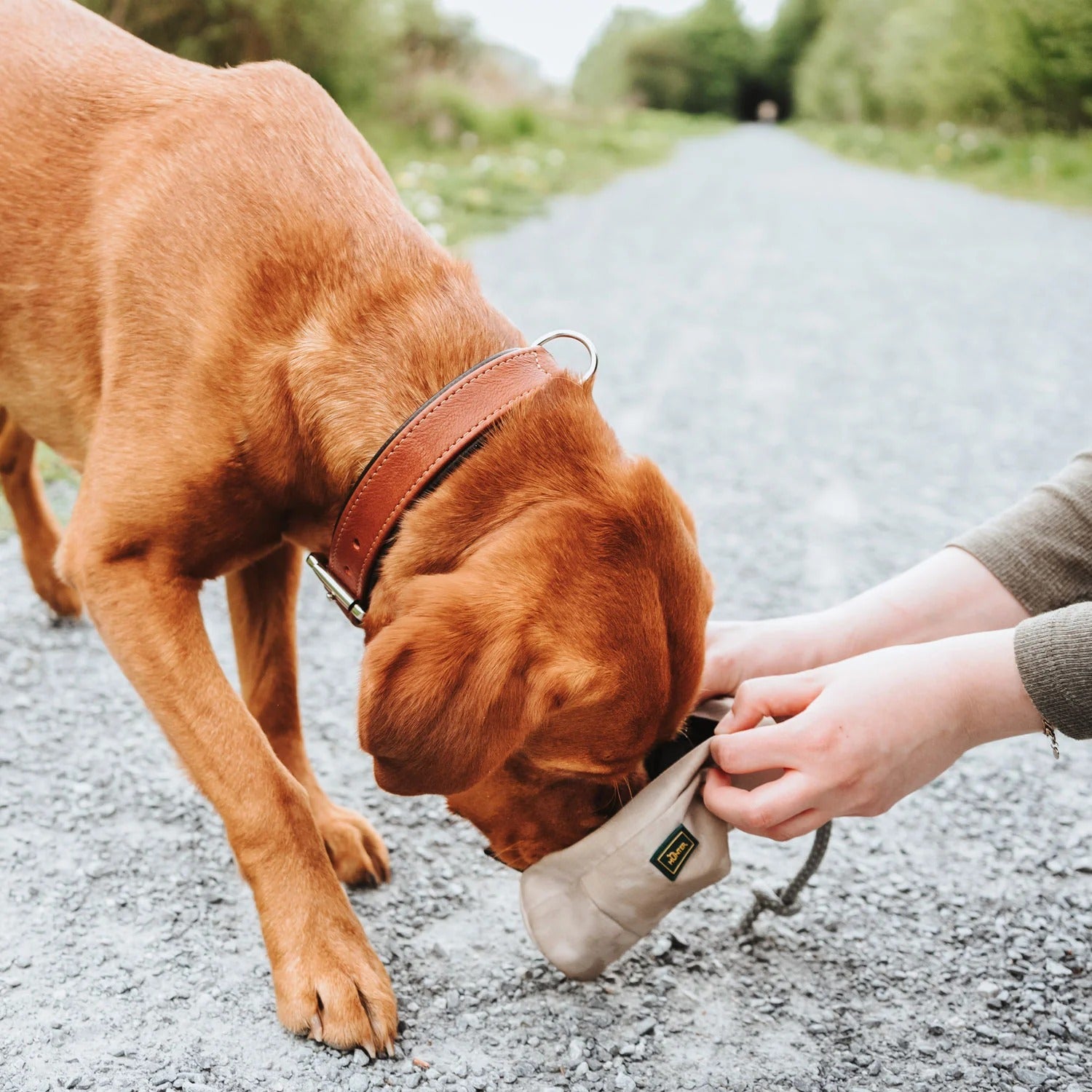 Hunter – Dummy Trainer Snack mit Seil