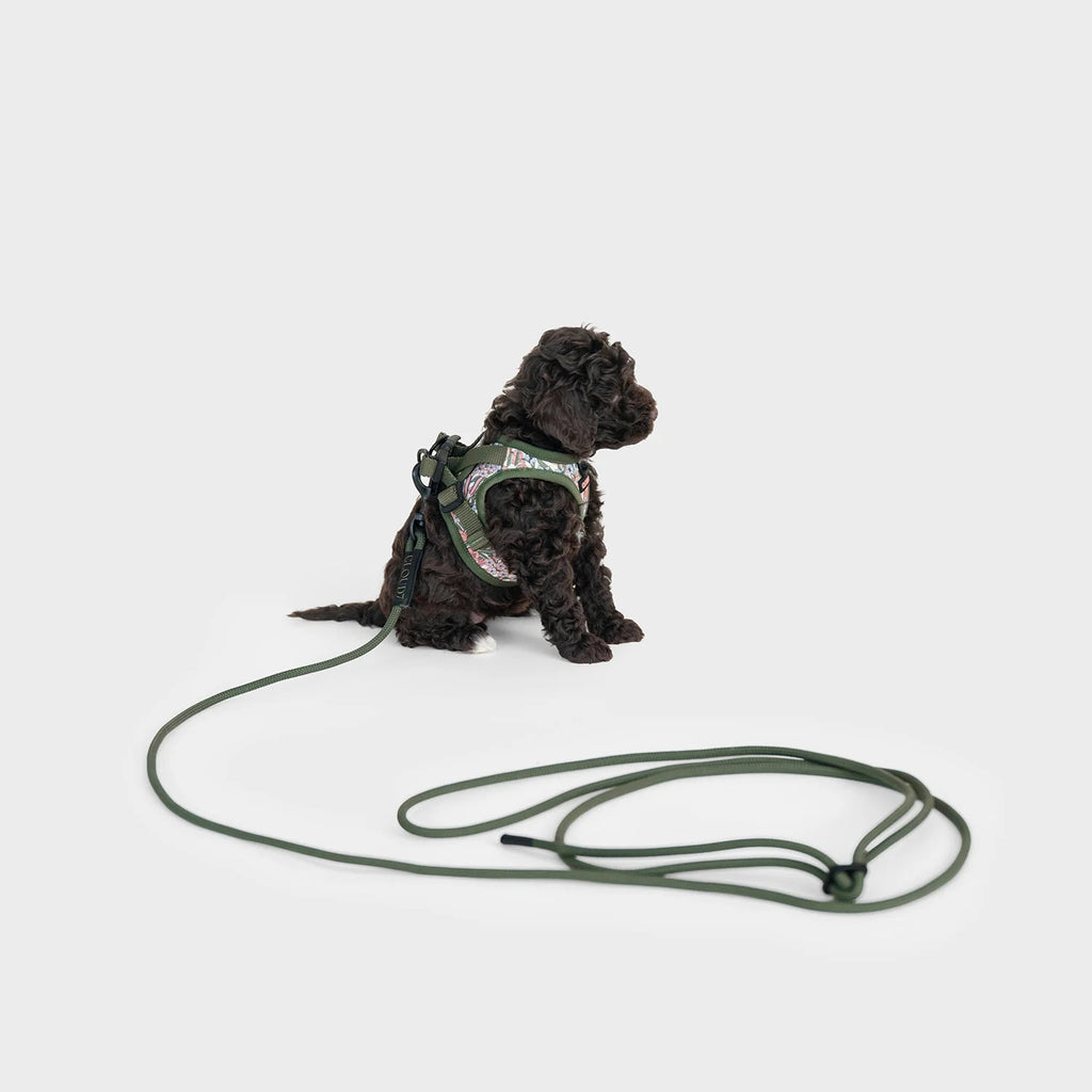 CLOUD7 - Seilleine LTTL Dark Olive