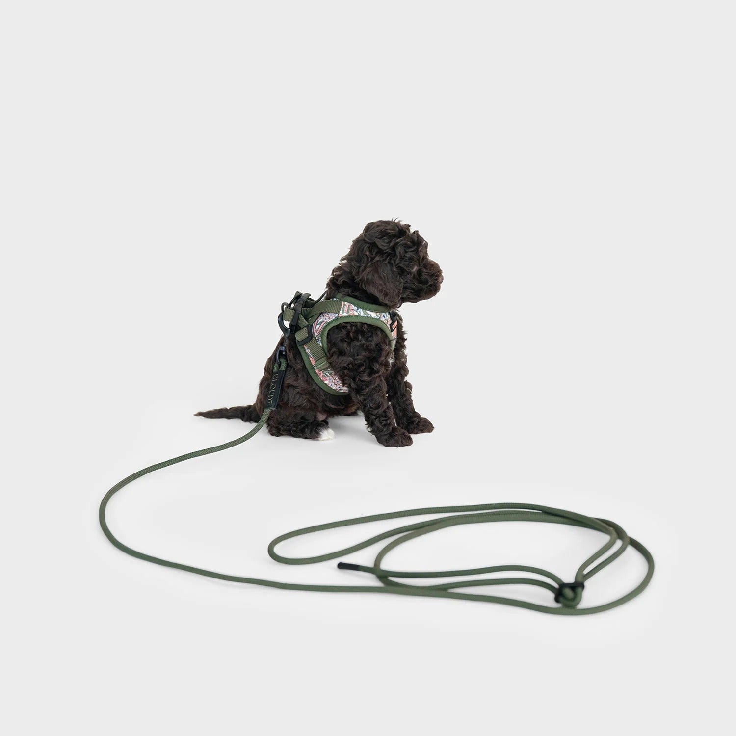 CLOUD7 - Seilleine LTTL Dark Olive