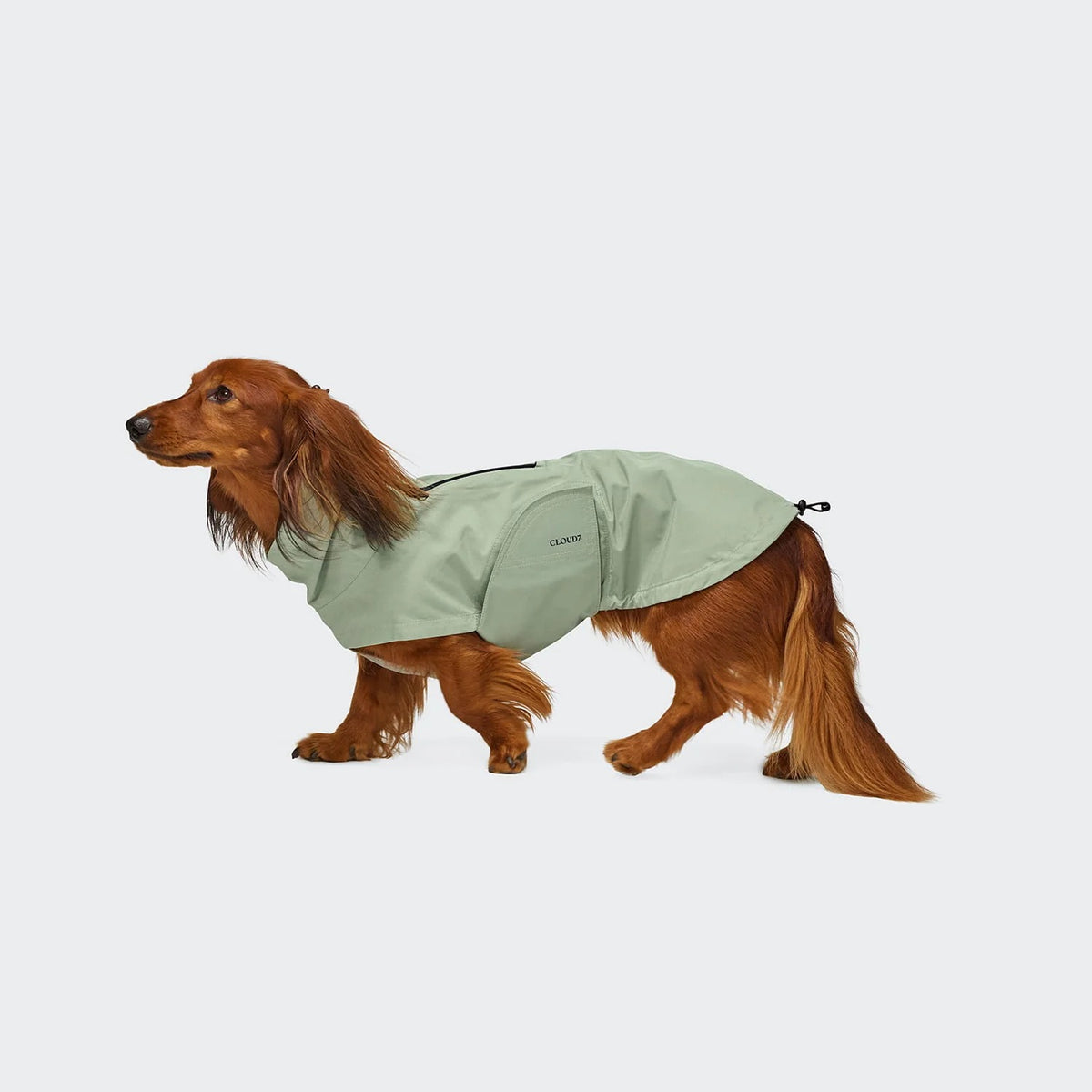CLOUD7 - Hunderegenmantel Dackel Dublin 2.0 Dusty Mint