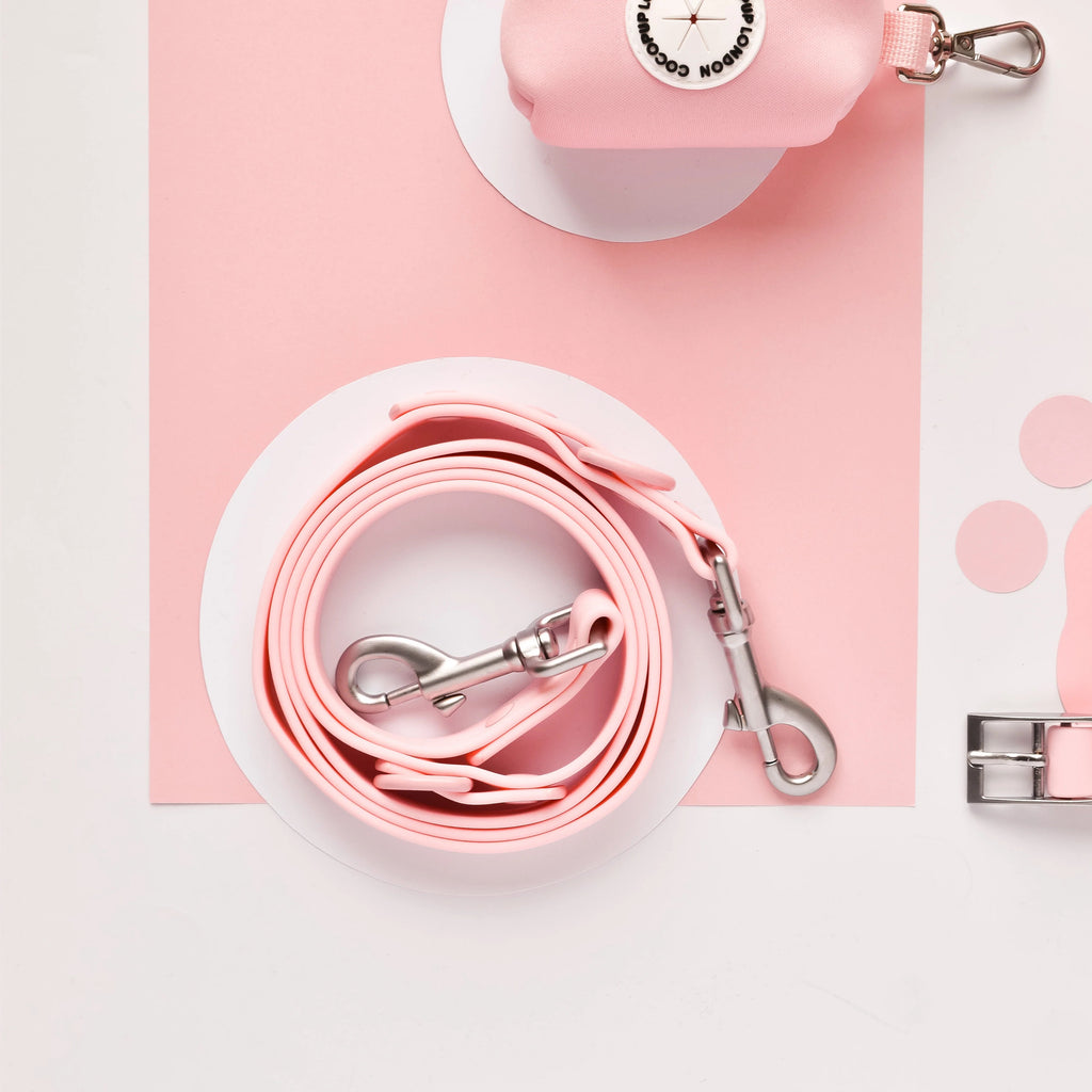 Cocopup – NAKD Hundeleine Candyfloss