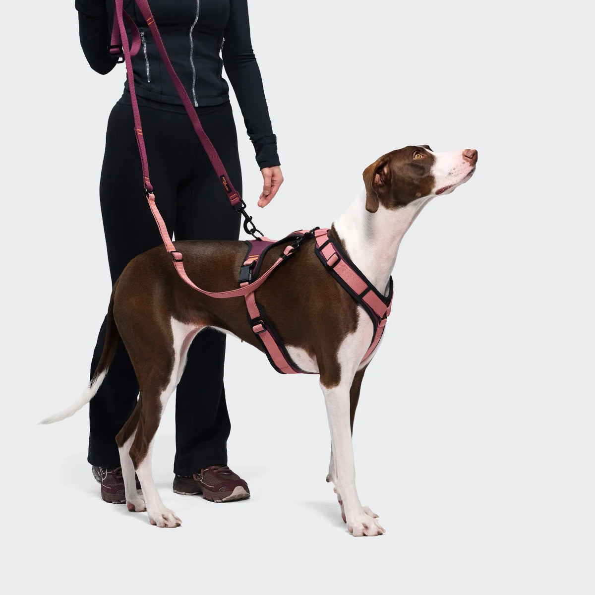CLOUD7 - Y-3 Geschirr AKTIV Softshell