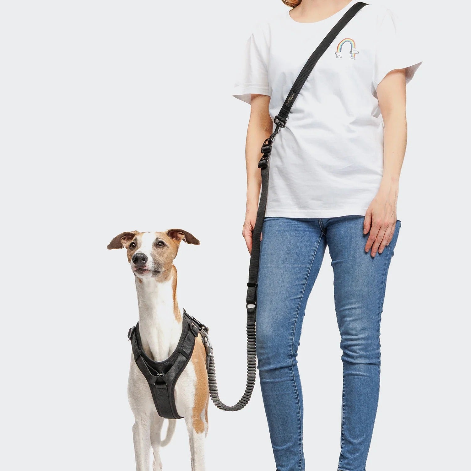 CLOUD7 - L-2 Jogging-Leine AKTIV