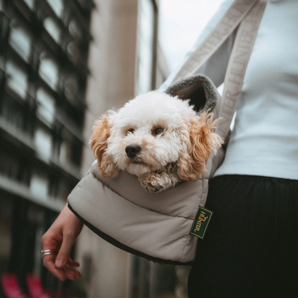 Hunter – 2-in-1 Hunde-Tragetasche und Decke Seoul