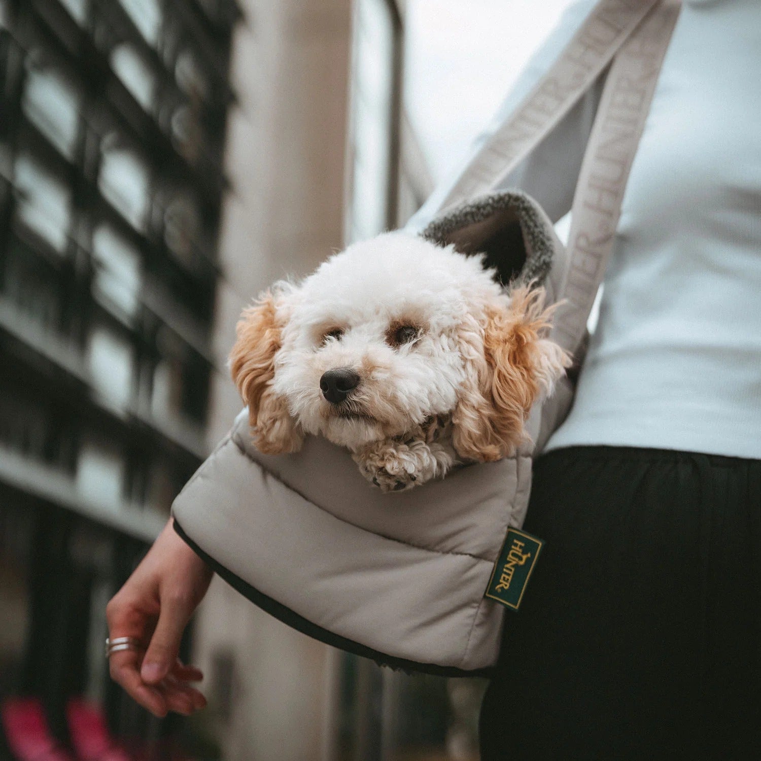 Hunter – 2-in-1 Hunde-Tragetasche und Decke Seoul