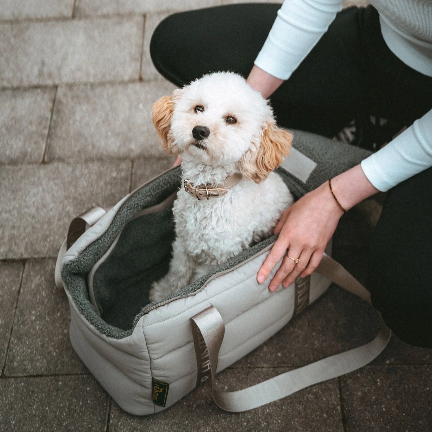 Hunter – 2-in-1 Hunde-Tragetasche und Decke Seoul