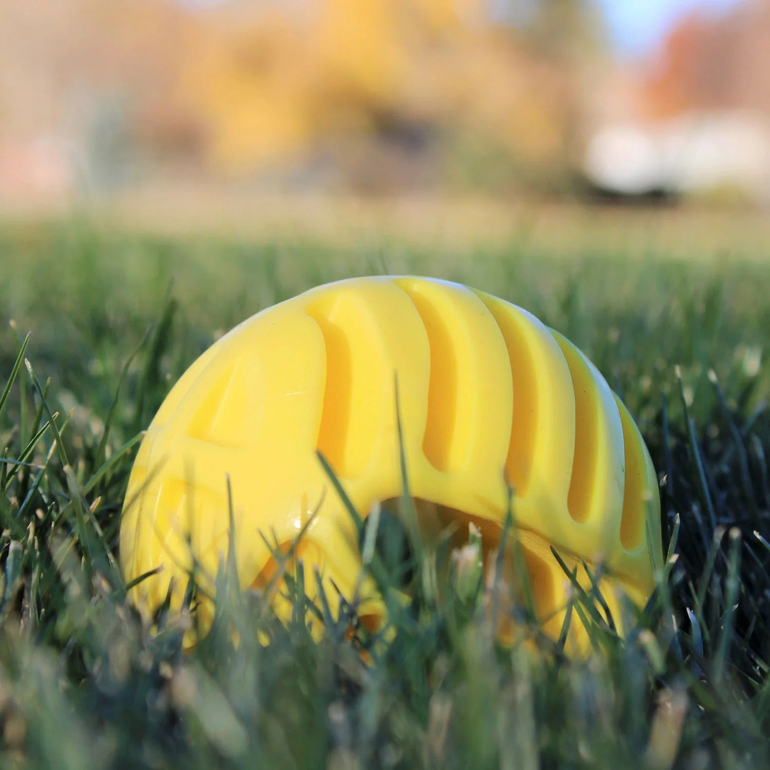 Hunter – Flingerz Ball
