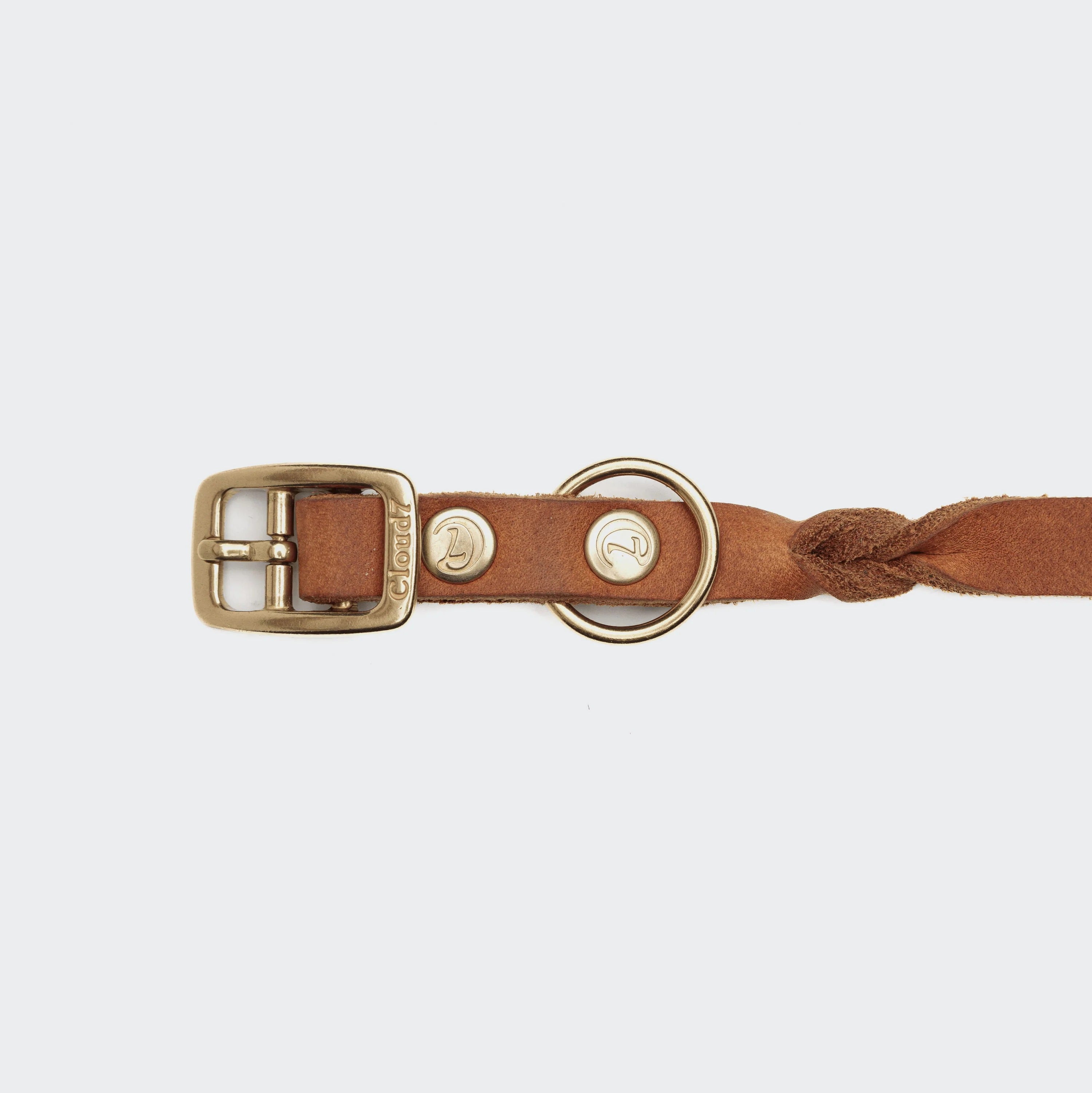 CLOUD7 – Hundehalsband Riverlino Camel Gold