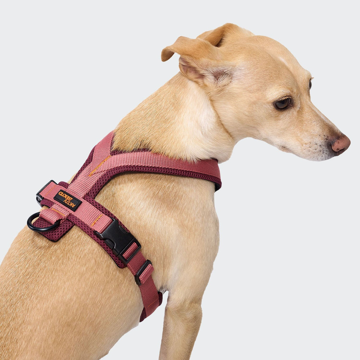 CLOUD7 - Y-1 Geschirr AKTIV Air-Mesh Peach