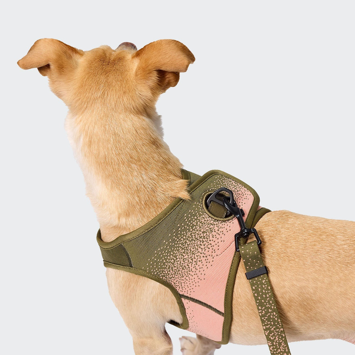 CLOUD7 - V-3 Harness Westengeschirr AKTIV Knit Khaki/Peach