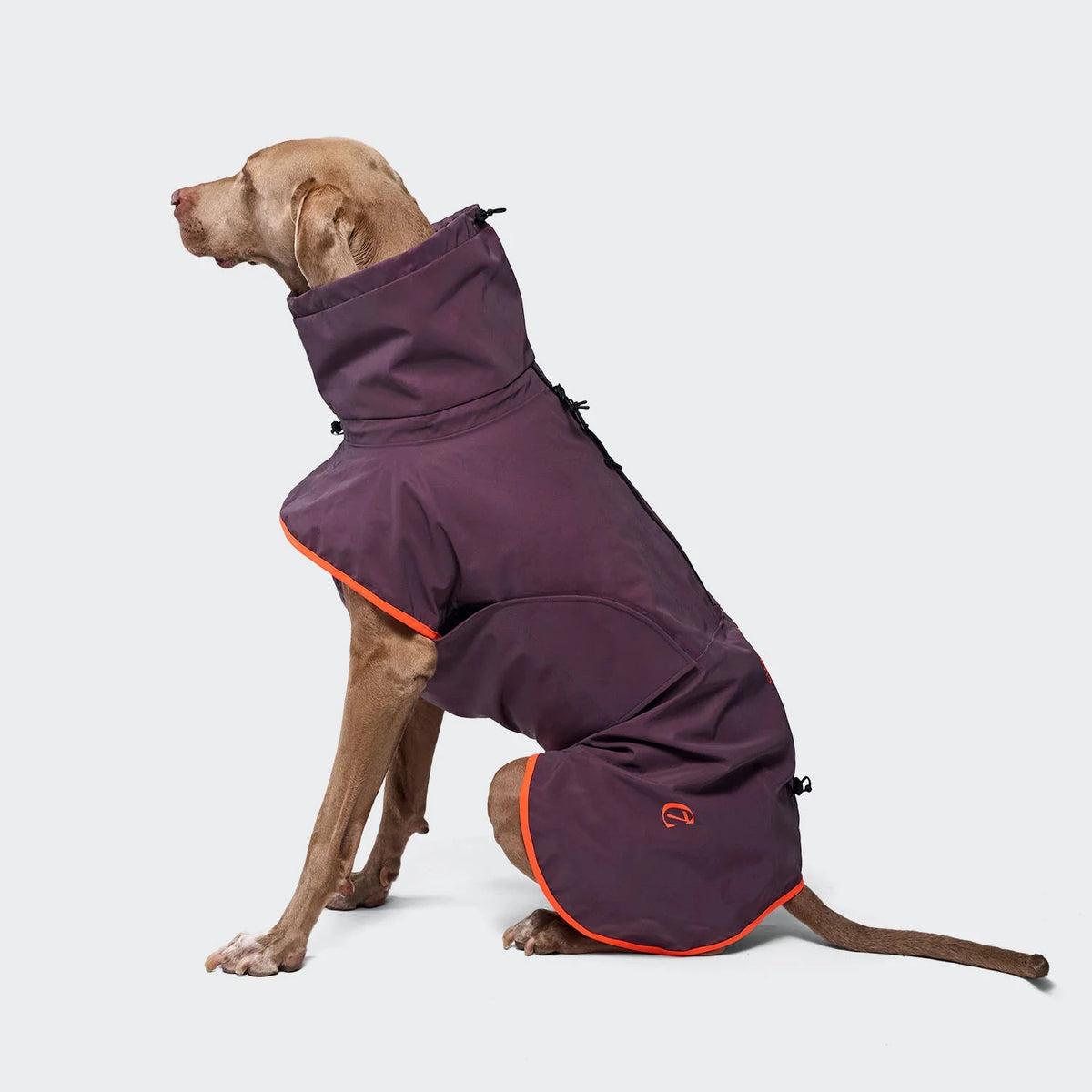 CLOUD7 - Hunderegenmantel AKTIV Aubergine/Orange