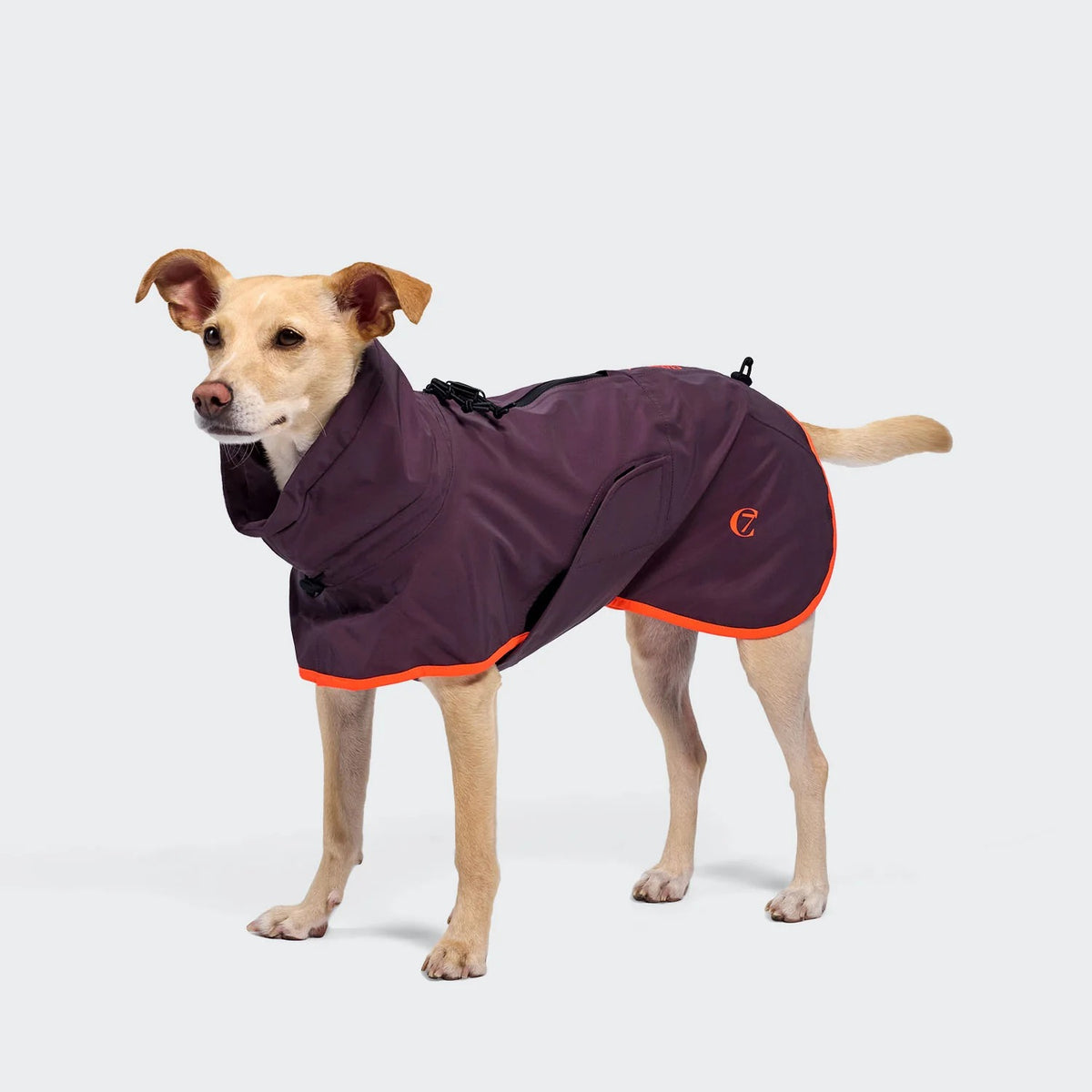 CLOUD7 - Hunderegenmantel AKTIV Aubergine/Orange