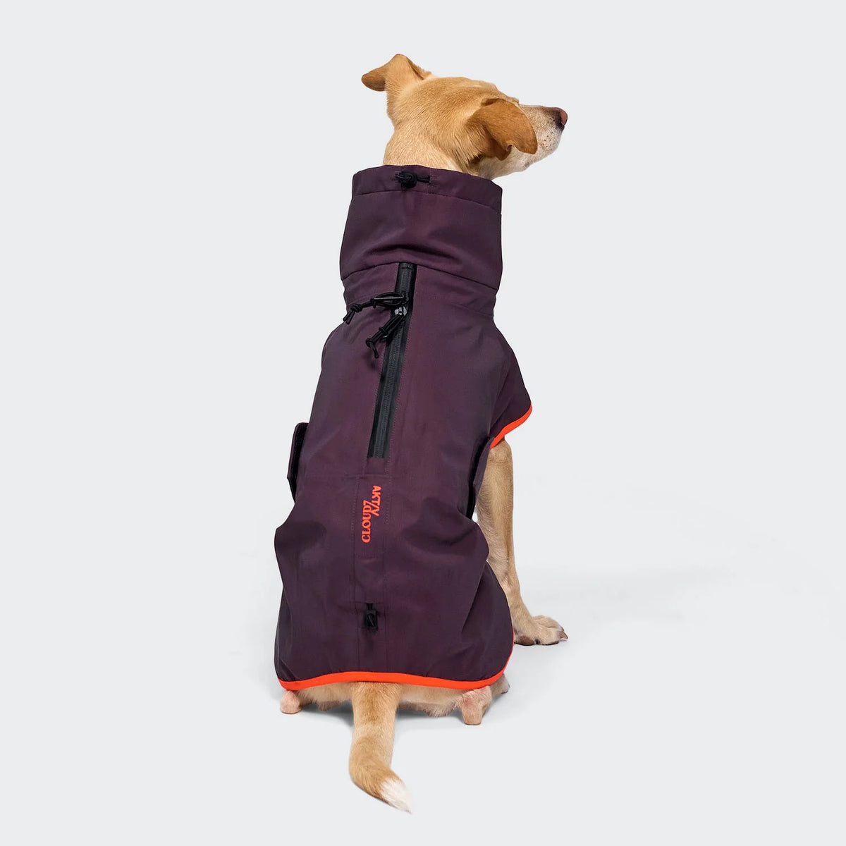 CLOUD7 - Hunderegenmantel AKTIV Aubergine/Orange