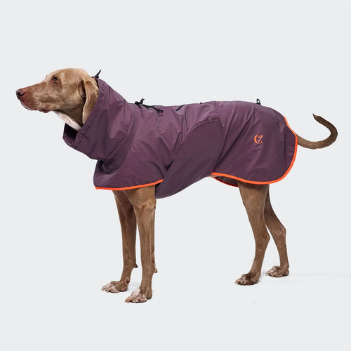 CLOUD7 - Hunderegenmantel AKTIV Aubergine/Orange