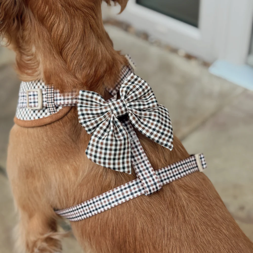 Cocopup – Heritage Check Matrosenschleife für Hunde
