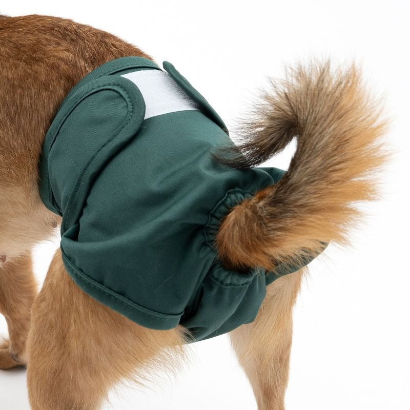 kooa – Läufigkeitshose / Hundewindeln