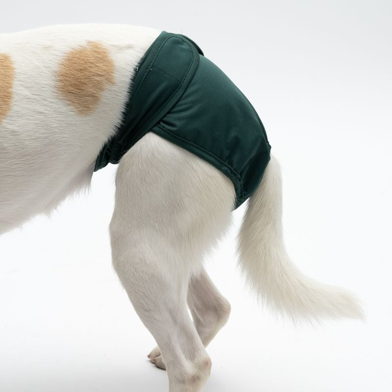 kooa – Läufigkeitshose / Hundewindeln