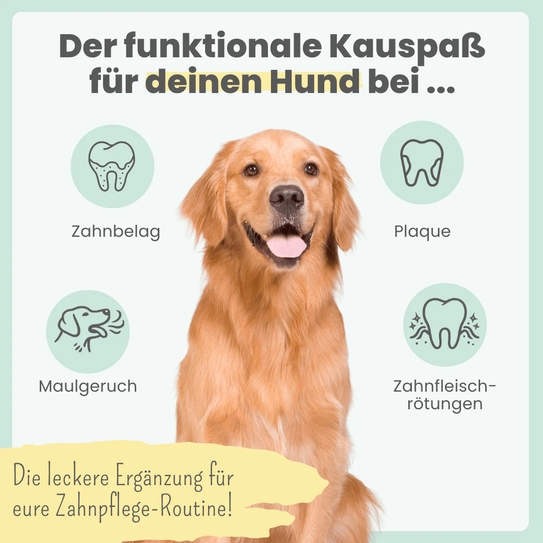 noms+ – Kräuter Dentals für Hunde
