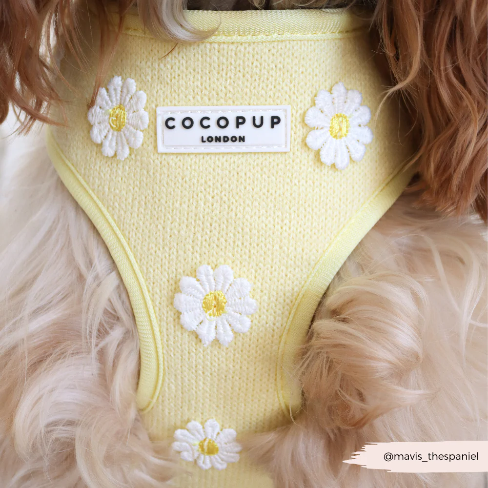 Cocopup – Buttercup Hundegeschirr mit verstellbarem Halsbereich