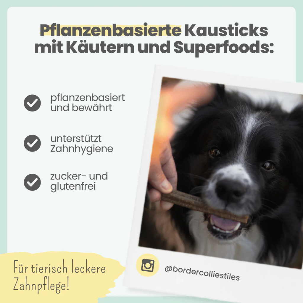 noms+ – Kräuter Dentals für Hunde