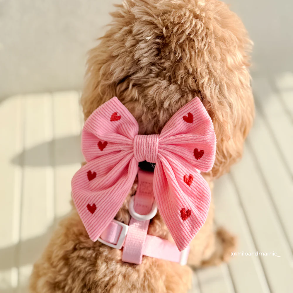 Cocopup – Pink Heartstrings Cord Matrosenschleife für Hunde