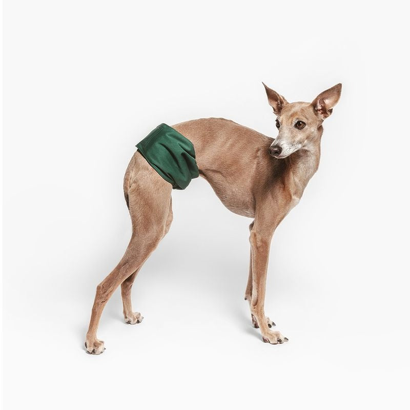 kooa – Läufigkeitshose / Hundewindeln