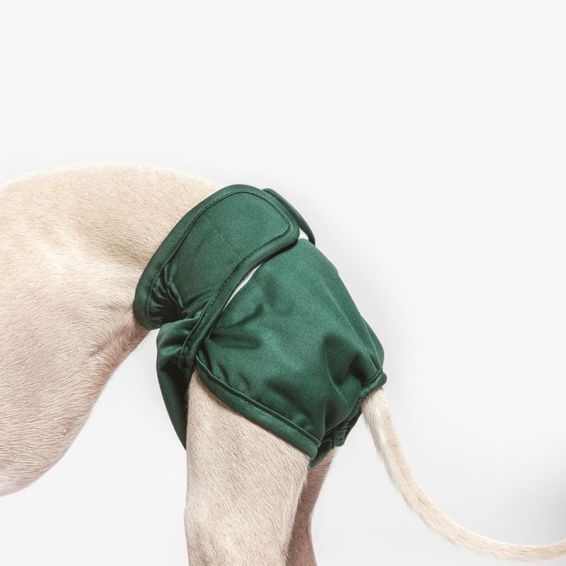 kooa – Läufigkeitshose / Hundewindeln