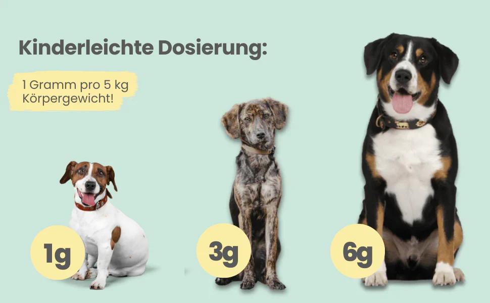 noms+ – Verdauungsmix für Hunde als Probiotikum für Magen- & Darmflora