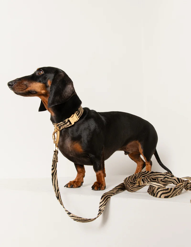 DOGGUO – Hundeleine Zebra - Beige/Black