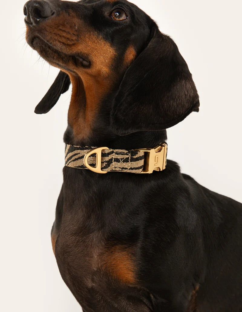 DOGGUO – Hundehalsband Zebra - Beige/Black