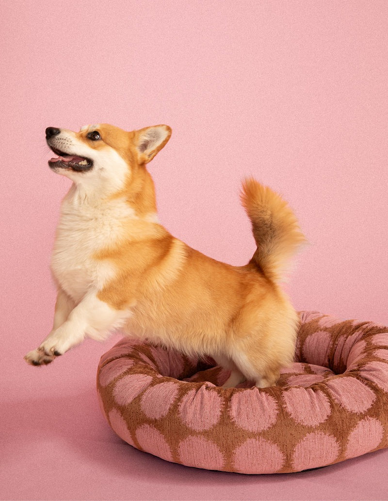 DOGGUO – Rundes Hundebett Gepunktet - Mocha/Pink