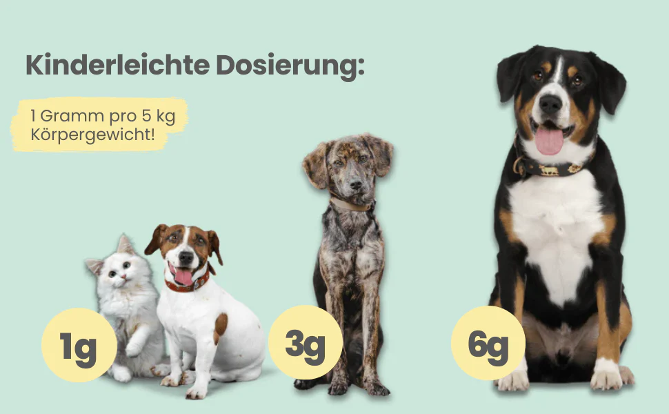 noms+ – Wohlfühlmix für Hunde & Katzen